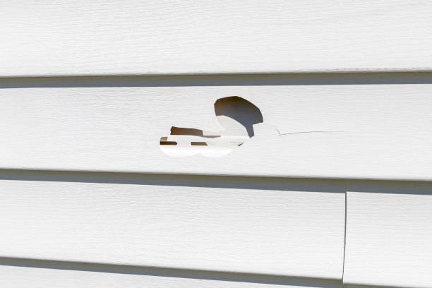 Best Vinyl Siding Installation  in Estelle, LA